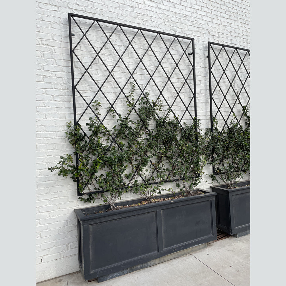 BUY WALL HANGING GARDEN TRELLIS IN QATAR | HOME DELIVERY ON ALL ORDERS ALL OVER QATAR FROM BRANDSCAPE.SHOP